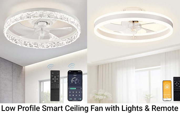 TVinstallguy.com Smart Ceiling Fan with lights