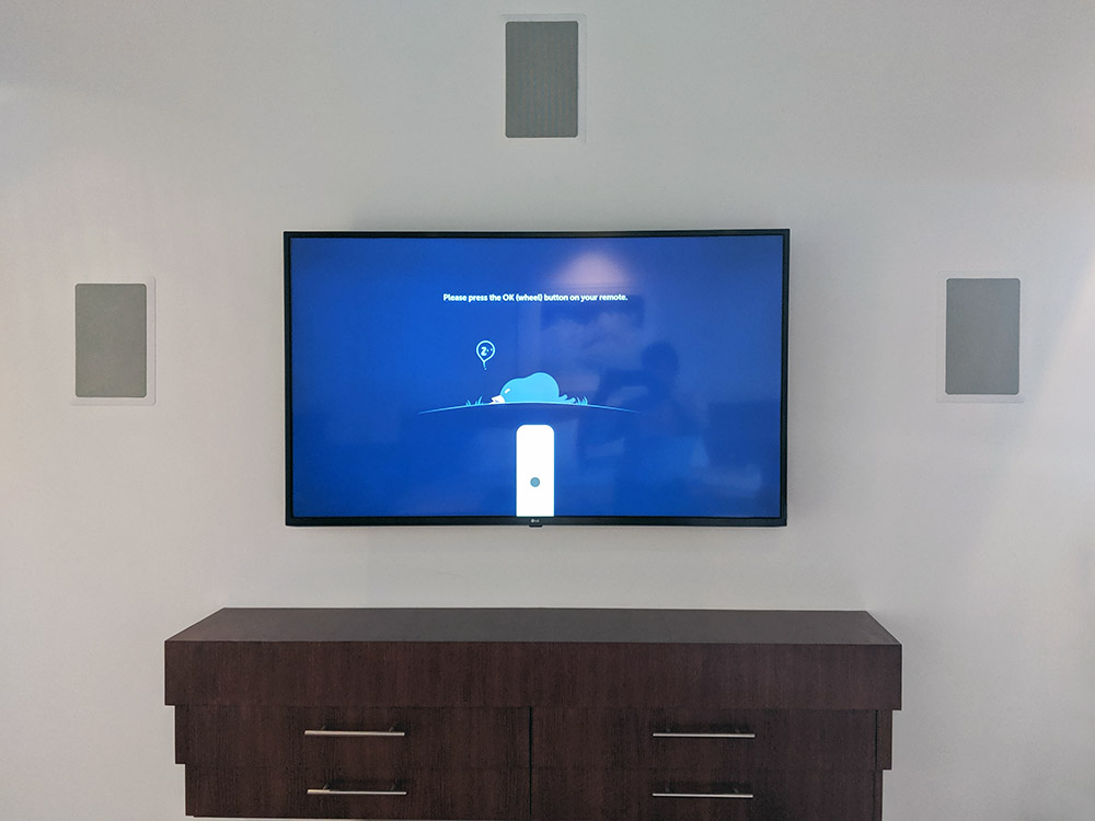 TVinstallguy.com Wall mounted TV